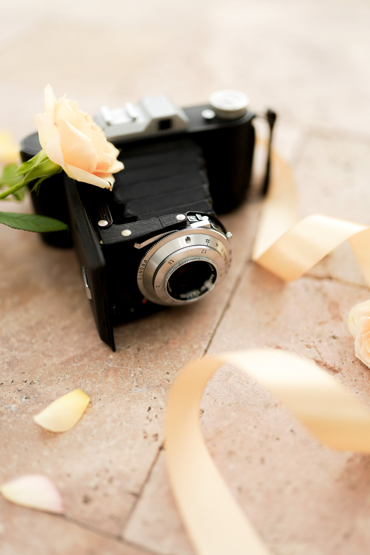 Hochzeitsfotograf Lübeck Hochzeitsfotografin Lübeck - Fotograf Anne Krämer aus Schleswig-Holstein