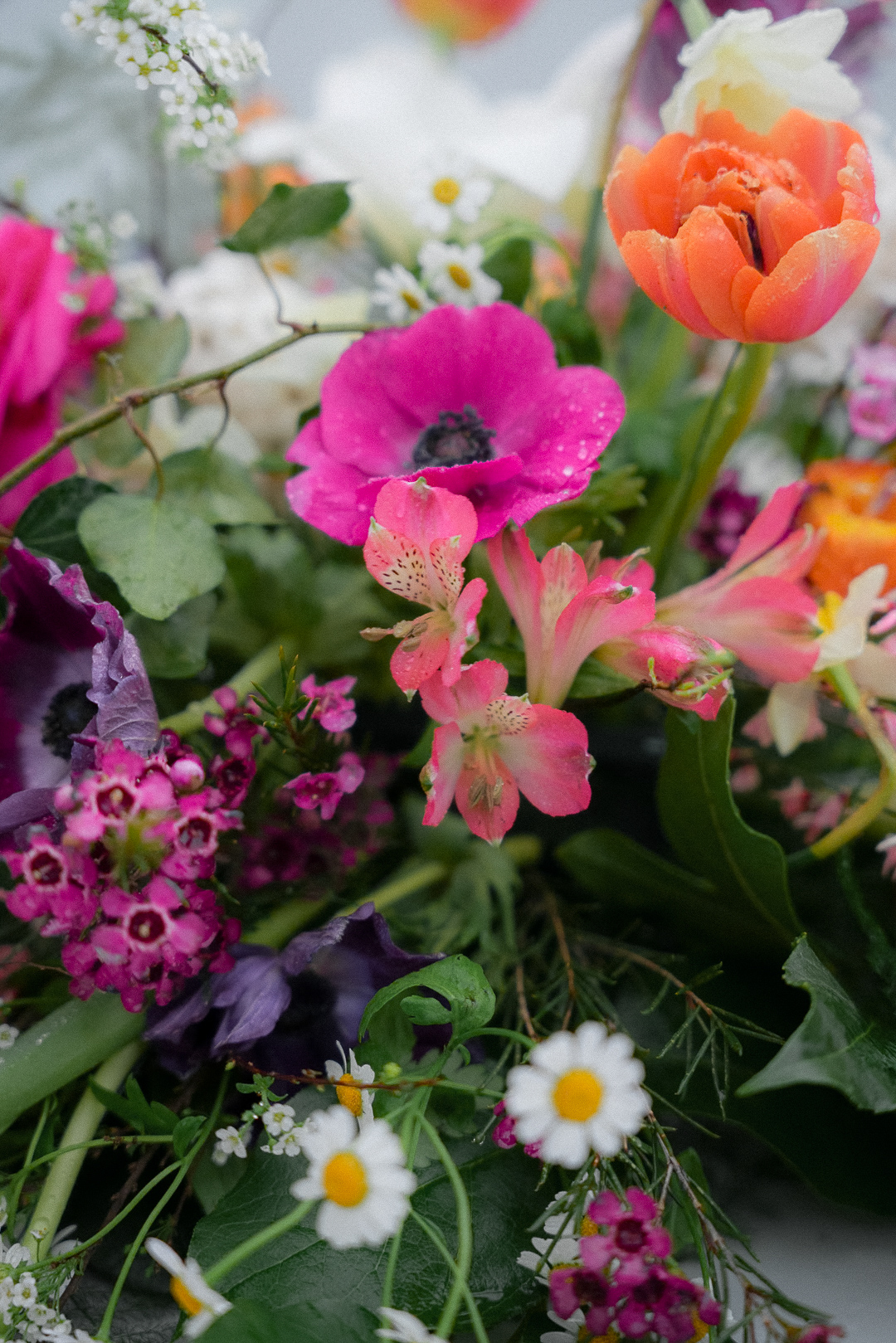 Anne Krämer, Hochzeitsfotograf Lübeck fotografiert eine Hochzeit in Lübeck.