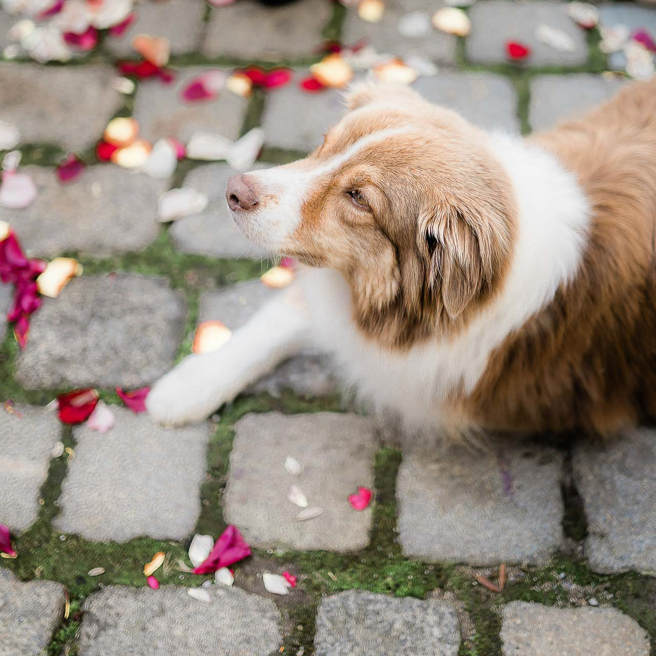 heiraten hamburg tipps nachhaltig hochzeitsfotograf hamburg anne kraemer 2 &bull; heiraten in hamburg,heiraten in lübeck,tipps hochzeit hamburg