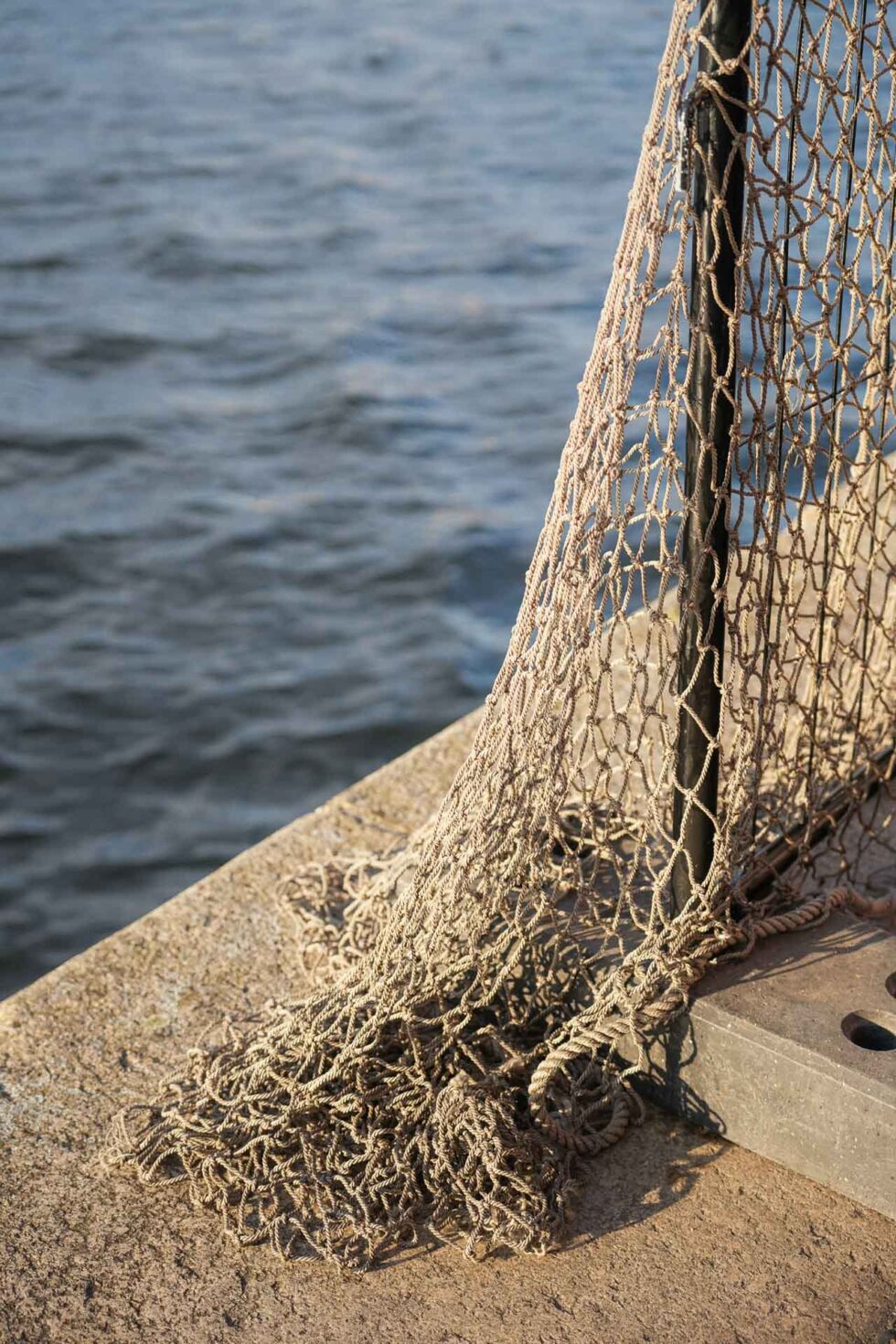 Sommerliche Stimmung Hochzeit Lübeck Altstadt