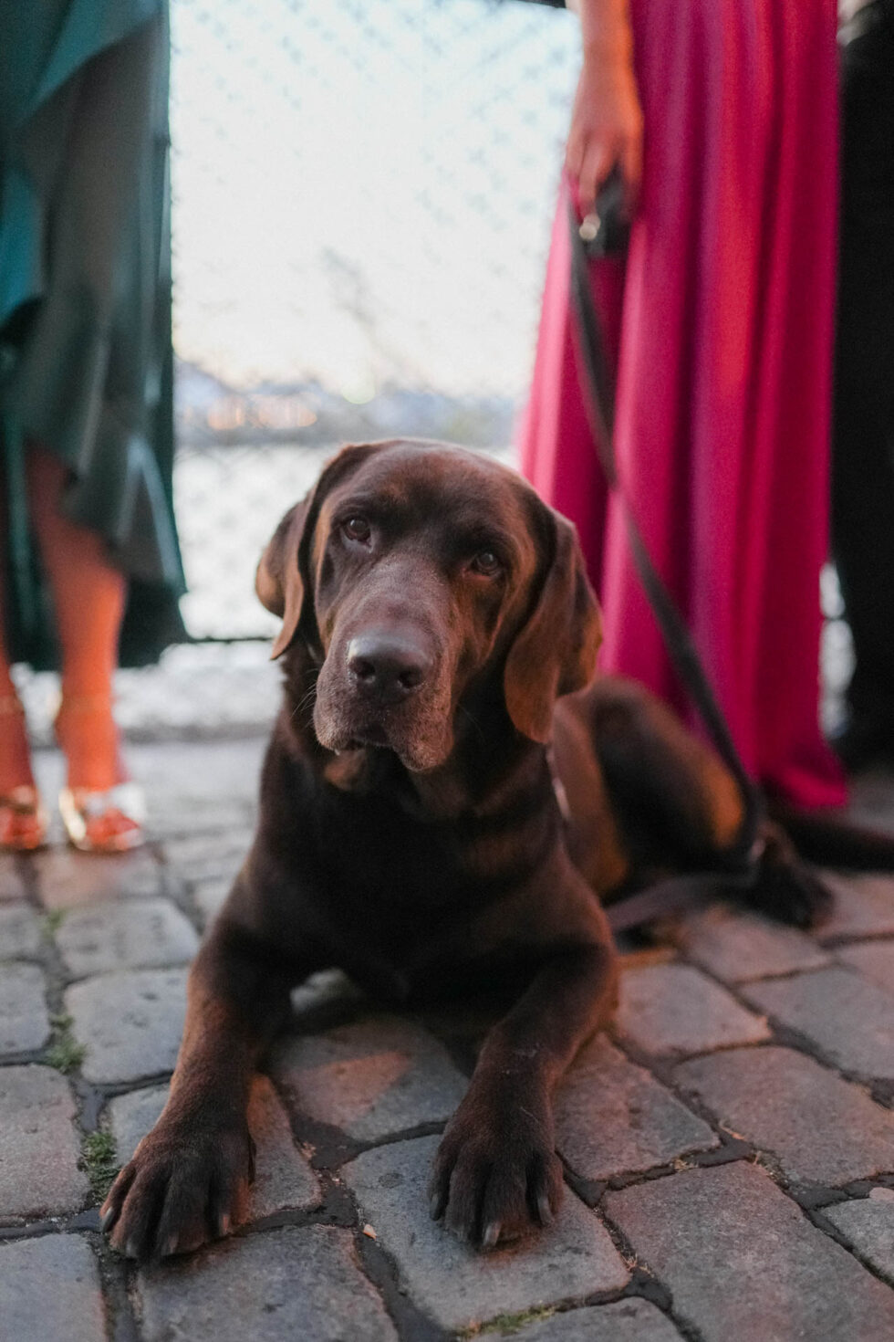 Gäste genießen Sommerabend an der Trave Hochzeit Lübeck
